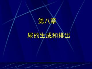 第八章 尿的生成和排出