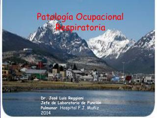 Patología Ocupacional Respiratoria