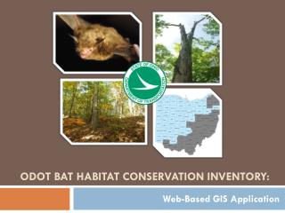 ODOT Bat Habitat conservation Inventory: