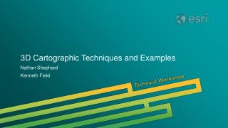 3D Cartographic Techniques and Examples