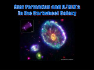 Star Formation and U/HLX’s in the Cartwheel Galaxy