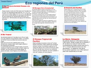 Eco regiones del Perú
