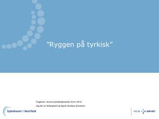 ”Ryggen på tyrkisk”