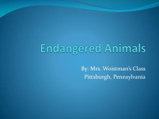 Endangered Animals