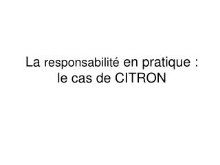 La responsabilité en pratique : le cas de CITRON