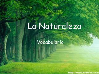 La Naturaleza