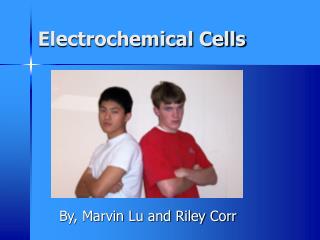 Electrochemical Cells