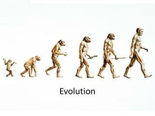 Evolution