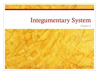 Integumentary System