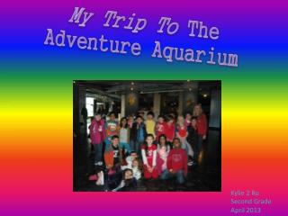 My Trip To The Adventure Aquarium