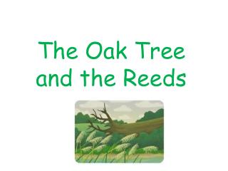 The Oak Tree and the R eeds