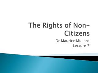 The Rights of Non-Citizens