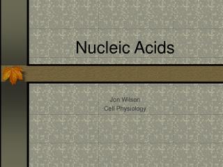 Nucleic Acids