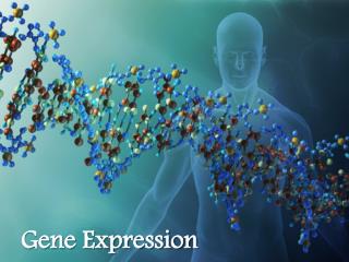 Gene Expression