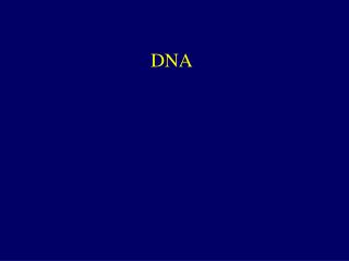 DNA