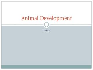 Animal Development