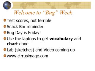Welcome to “Bug” Week