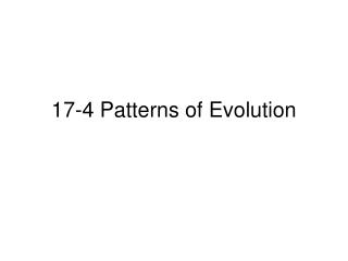 17-4 Patterns of Evolution