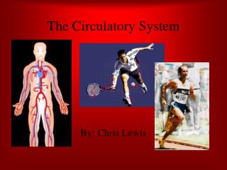 The Circulatory System