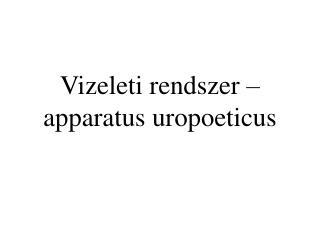 Vizeleti rendszer – apparatus uropoeticus