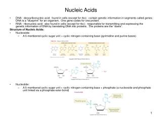 Nucleic Acids