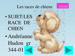 Les races de chiens