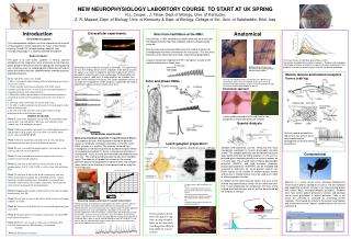NEW NEUROPHYSIOLOGY LABORTORY COURSE TO START AT UK SPRING