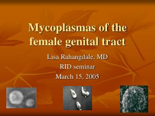 Mycoplasmas of the female genital tract