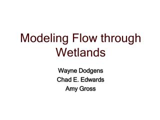 Modeling Flow through Wetlands