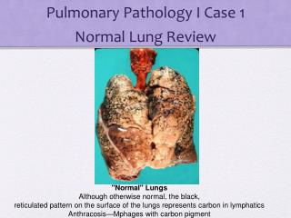 Pulmonary Pathology I Case 1 Normal Lung Review