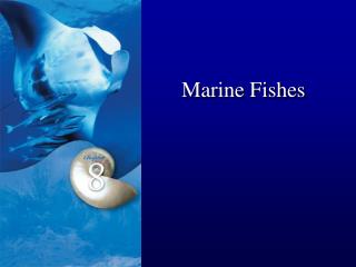 Marine Fishes