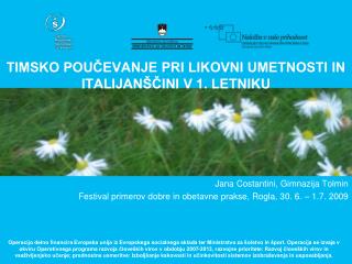 TIMSKO POUČEVANJE PRI LIKOVNI UMETNOSTI IN ITALIJANŠČINI V 1. LETNIKU