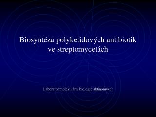 Biosyntéza polyketidov ých antibiotik ve streptomycet ách