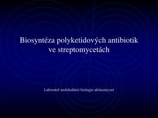 Biosyntéza polyketidov ých antibiotik ve streptomycet ách
