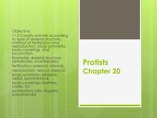 Protists Chapter 20