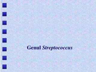 Genul Streptococcus