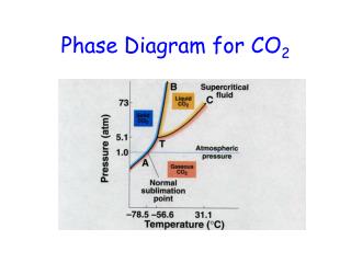 Phase Diagram for CO 2