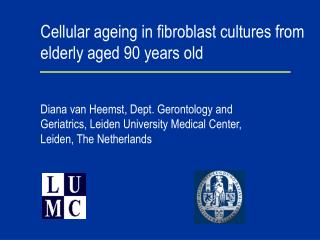 Cellular ageing in fibroblast cultures from elderly aged 90 years old