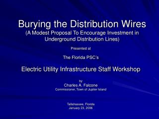 Presented at The Florida PSC’s Electric Utility Infrastructure Staff Workshop by