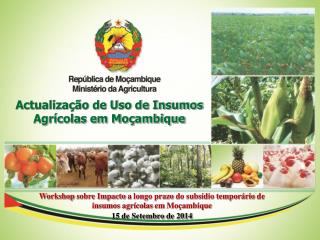 Actualização de Uso de Insumos Agrícolas em Moçambique