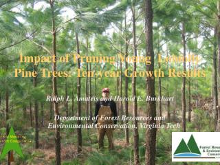 Impact of Pruning Young Loblolly Pine Trees: Ten-year Growth Results