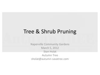 Tree &amp; Shrub Pruning