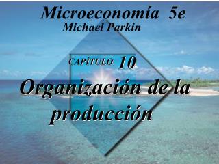 CAPÍTULO 10 Organización de la producción