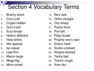 Section 4 Vocabulary Terms