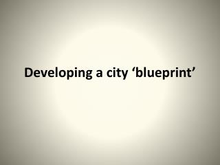 Developing a city ‘blueprint’