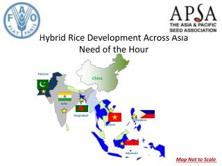 Hybrid Rice Development Across Asia Need of the Hour