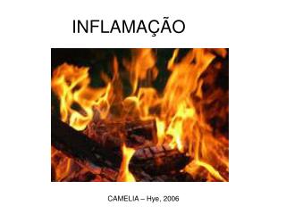 INFLAMAÇÃO