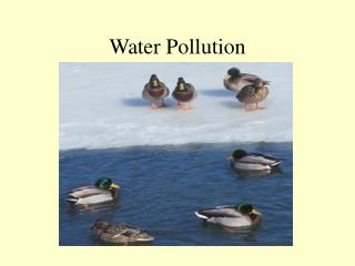 Water Pollution