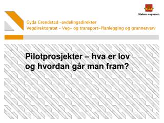 Pilotprosjekter – hva er lov og hvordan går man fram?