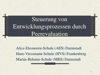 Steuerung von Entwicklungsprozessen durch Peerevaluation